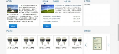中山市飞野照明科技有限公司